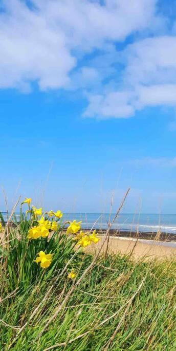 Herne Bay Central - 2 Minutes From Beach Apartment المظهر الخارجي الصورة